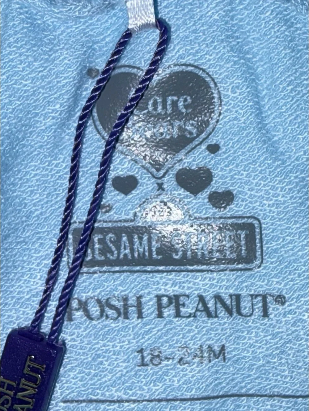 Posh Peanut X Care Bears X Sesame St bamboo shirt & shorts sz 18-24 Mo NWT